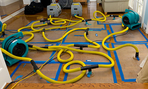 Professional Flood Damage Restoration technician working in Sugar City, CO